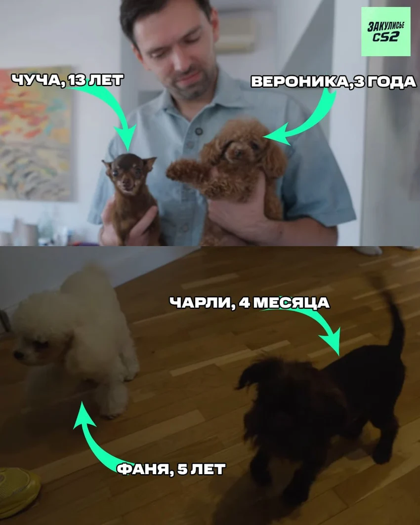 转载请标明, 塞罗那的第, 我现在处于